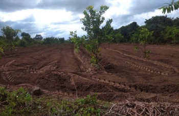 Chính chủ bán đất mặt tiền đường nhựa