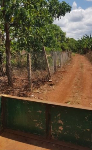 Bán hơn 1 mẫu đất đang trồng cafe xã Dăk Djrang , Mang Yang, Gia Lai