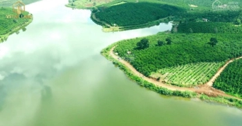 Đất sào View hồ 1000m2 sổ sẵn bình phước
