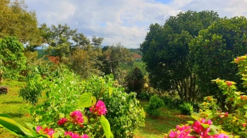 Đất nghỉ dưỡng Bảo Lộc view sông Đại Nga