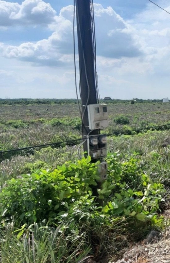 Cần bán lô đất trồng khóm tổng diện tích 43741m2 tại địa chỉ ấp Mỹ Hòa - xã Thạnh Mỹ