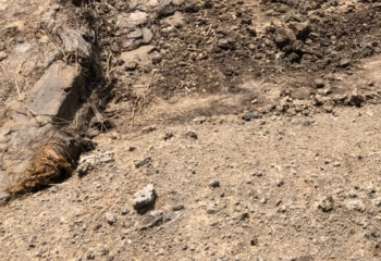 Bán đất 02 mặt tiền đường nhựa 14m đường ĐT 867, xã Thạnh Mỹ, huyện Tân Phước, tỉnh Tiền Giang