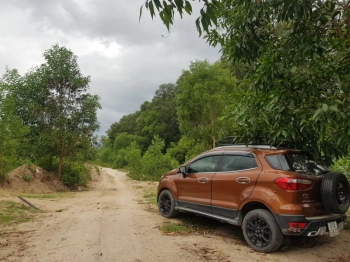 Bán đất làm trang trại chăn nuôi tại phù cát, bình định.