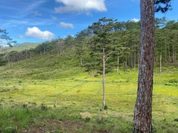 Bán đát chính chủ có sổ view đẹp giá rẻ