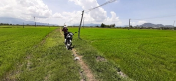 Bán 3500 m2 đất nông nghiệp. Thôn Thành Sơn. Xã Xuân Hải.  Huyện Ninh Hải