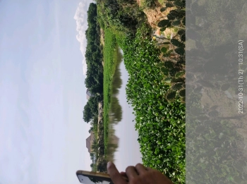 Hơn 5 sào đất cho chuyển ODT,khu phố 13 TT Phước Dân Ninh Phước Ninh Thuận.