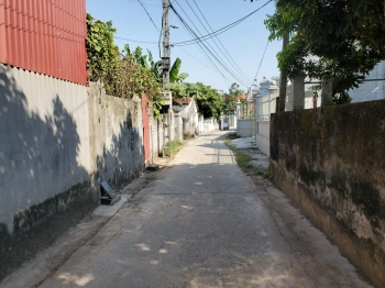 Bán đất thôn Hành Lạc Lạc, Như Quỳnh, Văn Lâm, Hưng Yên Yên