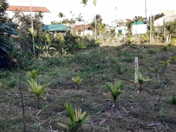 Chính chủ cần bán lô đất Phường Trương Quang Trọng