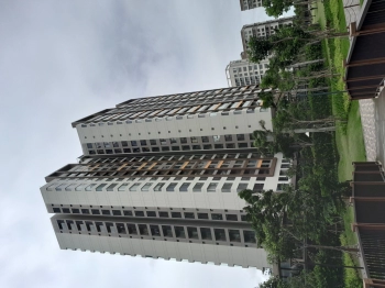 Hỗ trợ tham quan dự án Mizuki Nam Long