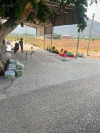 Kẹt tiền bán ngộp 15x60m (nở hậu 27.5m) sẵn ONT, 2 mặt tiền đẹp, sẵn sổ hồng