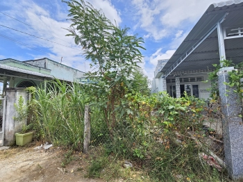 Bán đất nền bình phú gò công tây 290tr / 212mv có 150 thổ cư