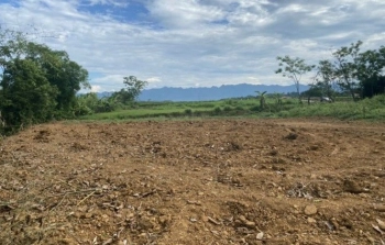 Cần bán gấp lô đất view súôi siêu đẹp