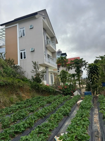 Cho thuê văn phòng tại Cantavil Premier, Tầng 9 – An Phú, TP. Thủ Đức (Q2 cũ), TP. HCM