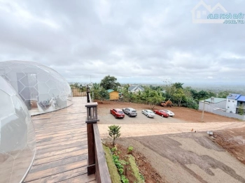 Ngay khu homestay đồi hoàng hôn Nguyễn Hữu Thấu nối dài 30x21m 3,9 tỷ (thương lượng nhẹ)