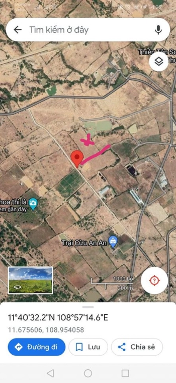 Cần bán hơn 21060m2 (2 mẫu 1) đất cây hàng năm khác tại Xã Phước Trung nơi có dự án cầu vượt