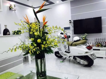 Bán căn hộ Tầng Trệt - Chung cư Bắc Hà Hoàng Hổ (1st Home) 