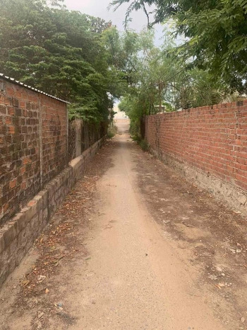 Lô Gò Sạn Bắc Phong 