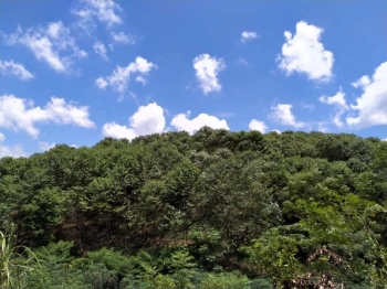 Trang trại tại thôn Lượt, xã Thái Niên