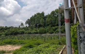 Chính chủ bán mảnh vườn 7000m2 có đất ở.  Là nơi gia đình tránh dịch lý tưởng.