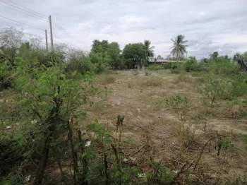 Bán nhanh 320m2 đất cây lâu năm, xóm chiếu, thanh hải.