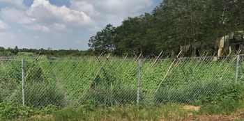 Bán đất trồng cây , phù hợp quy hoạch tại đường 20