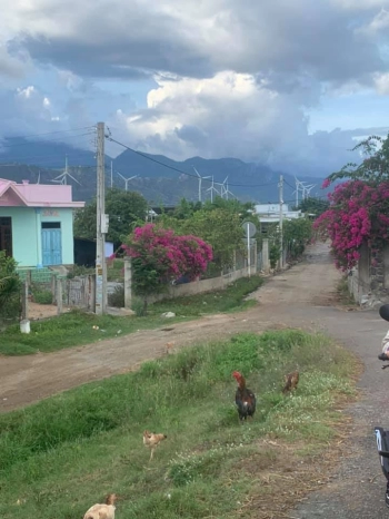 Bán nhanh lô đất diện tích lớn có thể phân lô