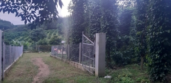 CẦN BÁN 7,4 HA ĐẤT CAO SU VÀ TIÊU,...