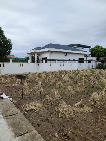 BÁN ĐẤT XÓM LÂM TIẾN- XÃ GIAO PHONG- GIAO THỦY