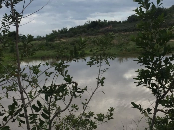 Cần bán lô đất xã Phước Trung 