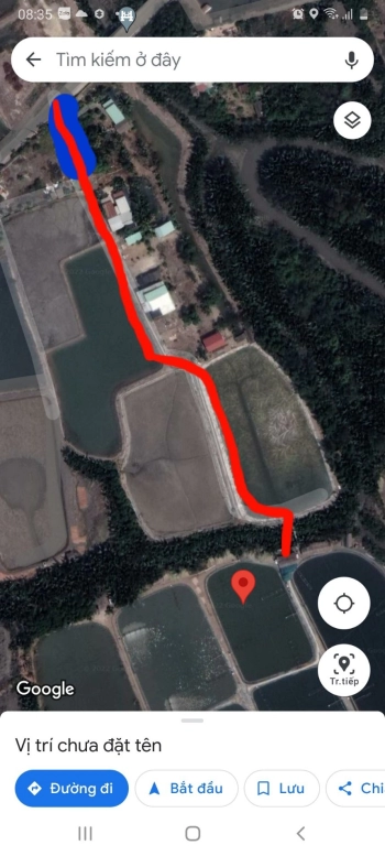 Khách chán nuôi tôm chuyển sang đầu tư cây lâu năm