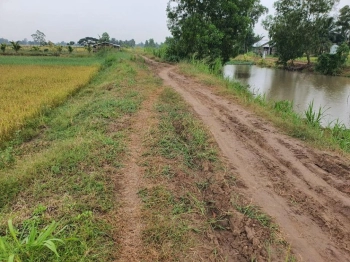 cần bán gấp 5 công đất thuộc xã Hiếu Tử huyện Tiểu Cần