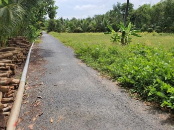 Cần bán đất  ấp Nhứt, xã Tân hùng, huyện Tiểu cần, Trà Vinh.