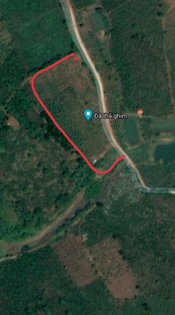 Bán 9 sào đất đẹp tại Tân Thành