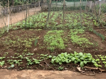 Chính chủ bán lô đất đẹp xã tây hiếu