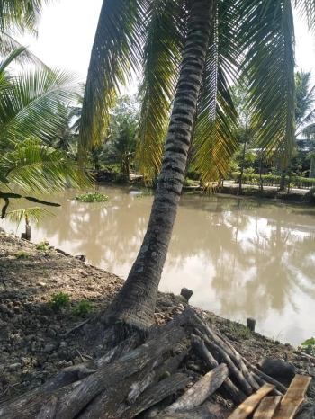 Mình bán gấp kèo thơm