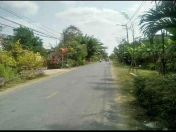 mặt tiền lộ nhựa (Đường Huyện 16) Ấp Bàu Sơn Xã Đa Lộc Châu Thành, Trà Vinh