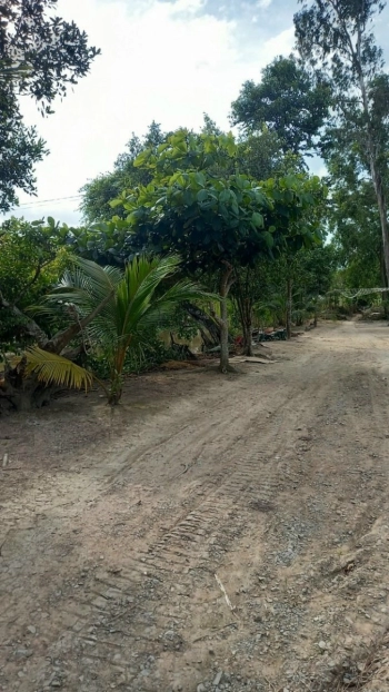 CHỦ KẸT TIỀN CẦN BÁN 3000M2 ĐẤT 