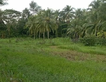 bán đất mặt tiền lộ nhựa Ấp Hương Phụ B, Xã Đa Lộc, Huyện Châu Thành, Trà Vinh