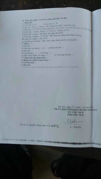 Chủ cần tiền bán 1,2ha rẫy đang trồng mì