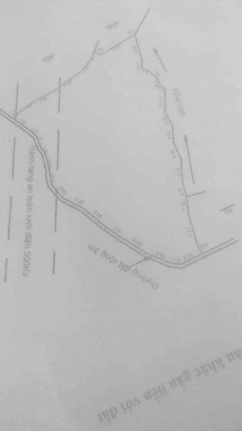 Chủ quá nhiều cao su cần bán bớt 1hec8 cao su đã thu hoạch 1 năm rồi 