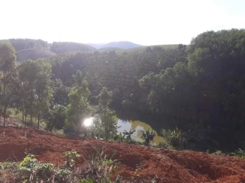 Cần bán 10 hecta (100.000m2) đất KonTum giá chỉ 4 tỷ nguyên lô. 