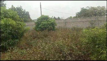 BÁN NHANH LÔ ĐẤT TÂN SỎI-YÊN THẾ-BẮC GIANG