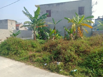 Gia đình cần tiền gấp nên bán nhanh lô đất đẹp