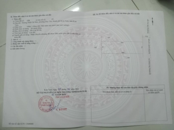 Bán nhà cấp 4 đường Nhất Chi Mai dt 7x24 full tc