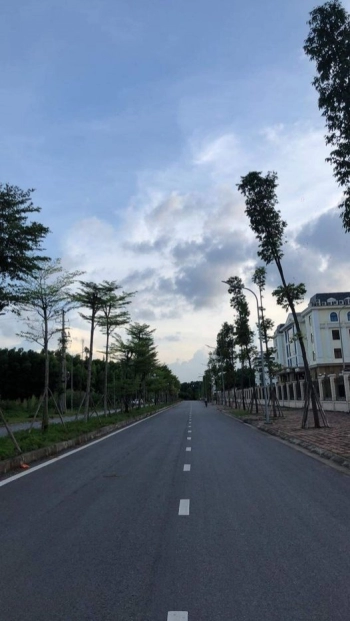 Cần bán lô đất ở xã Phượng Sơn, huyện Lục Ngạn, tỉnh Bắc GIang