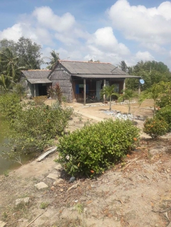 Cần bán vuông có nhà giá rẻ 