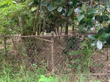 Bán nền Khu Vực Láng Sen A, phường Hiệp Lợi, N7, HG