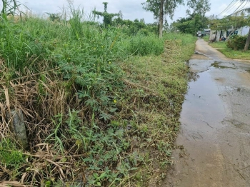 Cần bán lô đất ở ấp Tắc Thủ