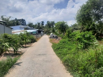 Cần bán nhanh nền cây lâu năm ấp 1 