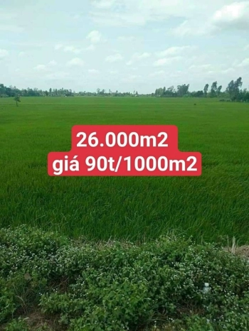 Bán đất 26.000 m2 